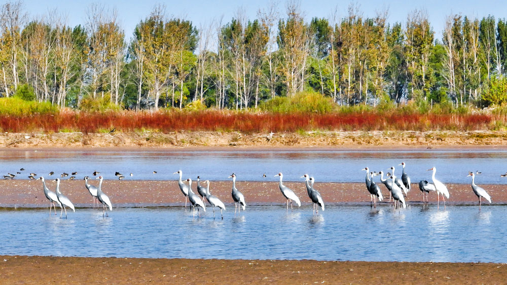 151692093049349535 151692093049349535