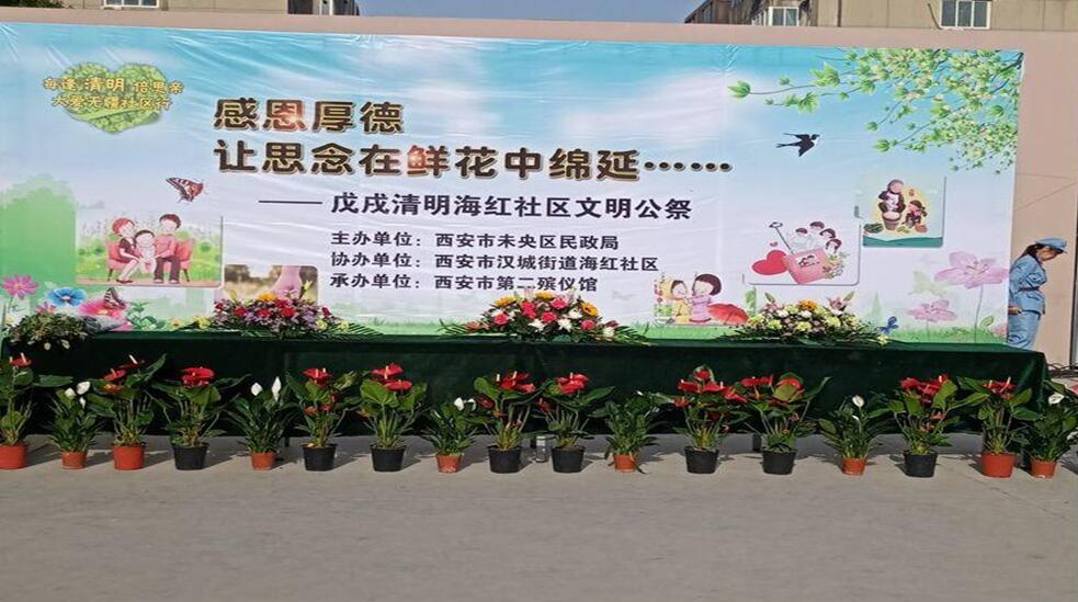 1529054199895491 1529054199895491