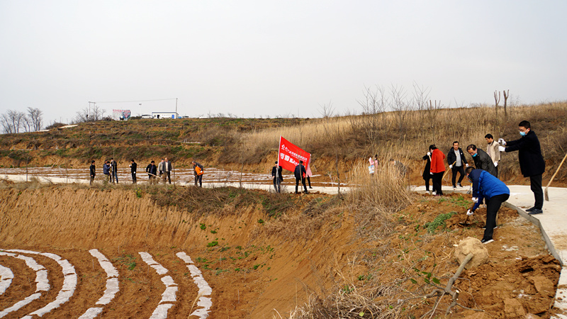 1584088060109442.jpg È«¾°_¸±±¾.jpg