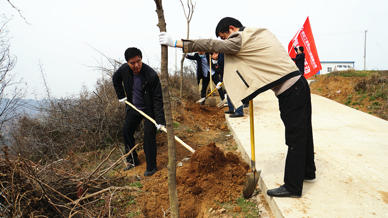 1584088130230004.jpg ÈÎ×Ü_¸±±¾.jpg