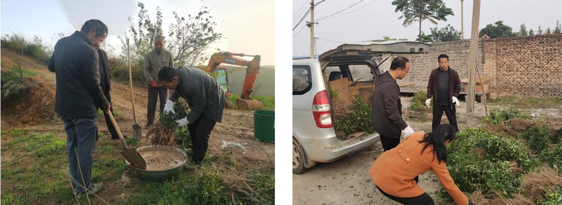 1606098932252639.jpg 1606098932252639.jpg